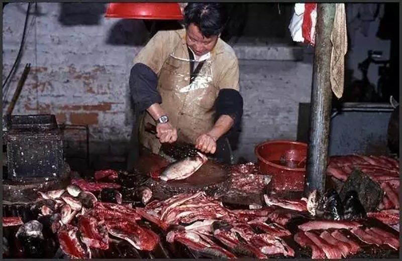何老板萬萬沒想到,自己的餃子云吞店開業的第一天就門庭若市